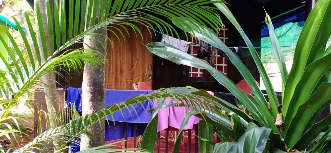 Casa Fiesta Hotell Palolem Exteriör bild